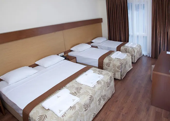 Standaard Kamer met een King Size Bed