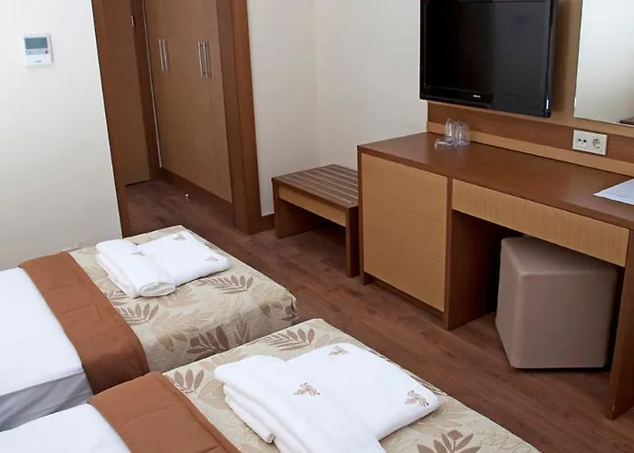 Standaard Kamer met een King Size Bed